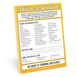 Nifty Notes Notepad ( Assorted )