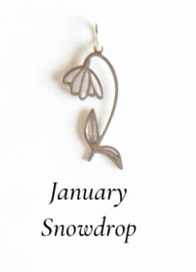 Silver Birth Flower Charm Necklace*( January )