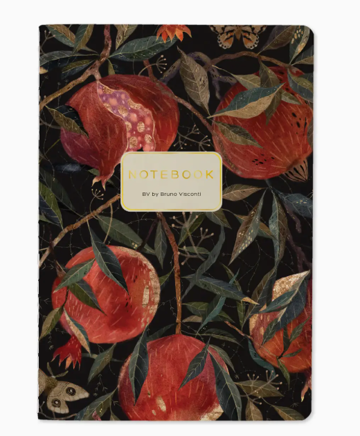 Bruno Visconti Notebook ( Assorted )