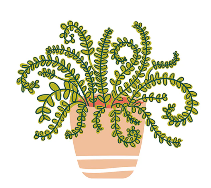 Happy House Plant Mini
