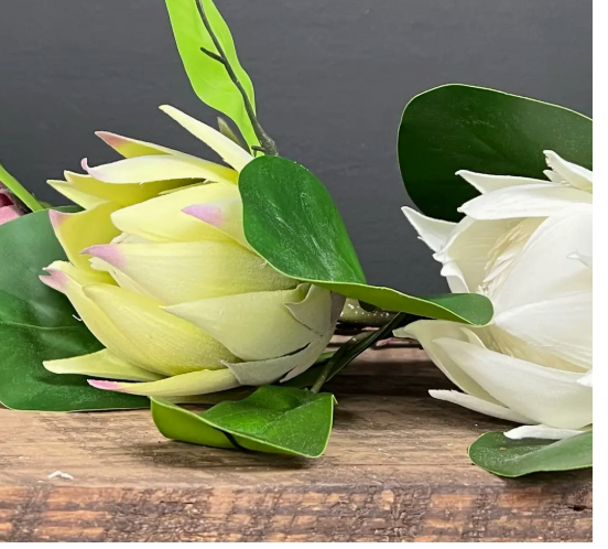 21" King Protea Cynaroides-Real Touch Leaf ( Assorted )