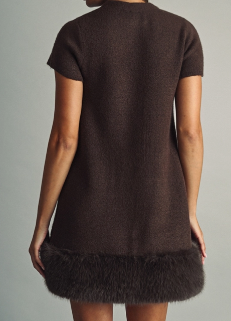 Cozy Faux-Fur Trimmed Mini Dress