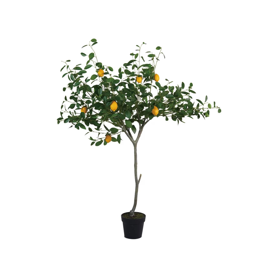 Faux Lemon Tree in Plastic Pot