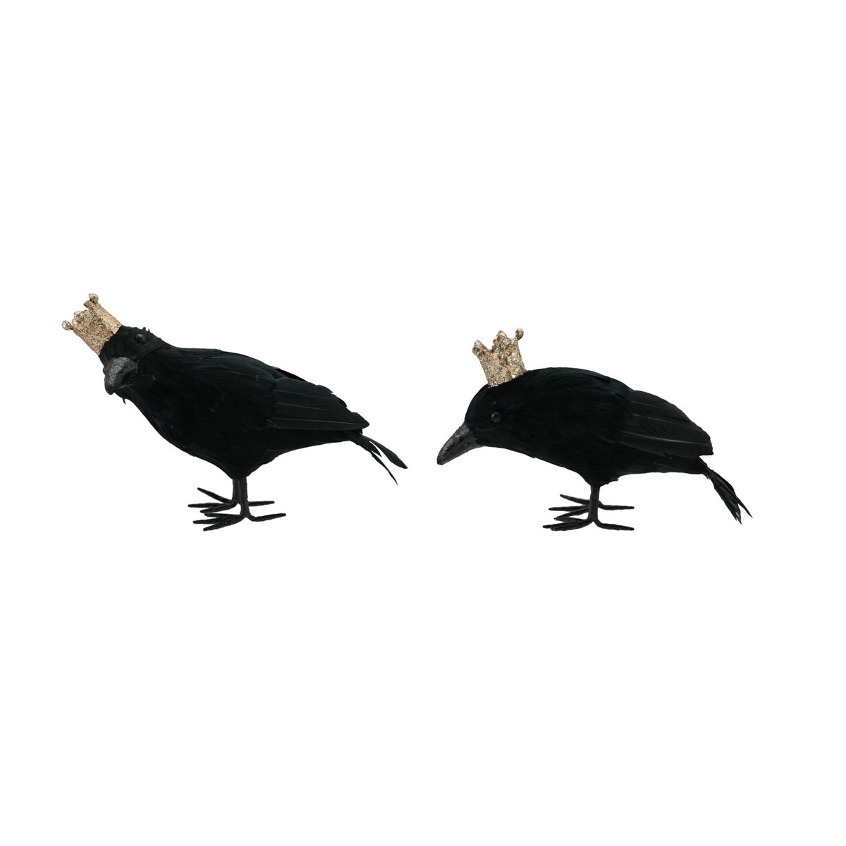 H 26 Foam Crow with Feathers & Crown