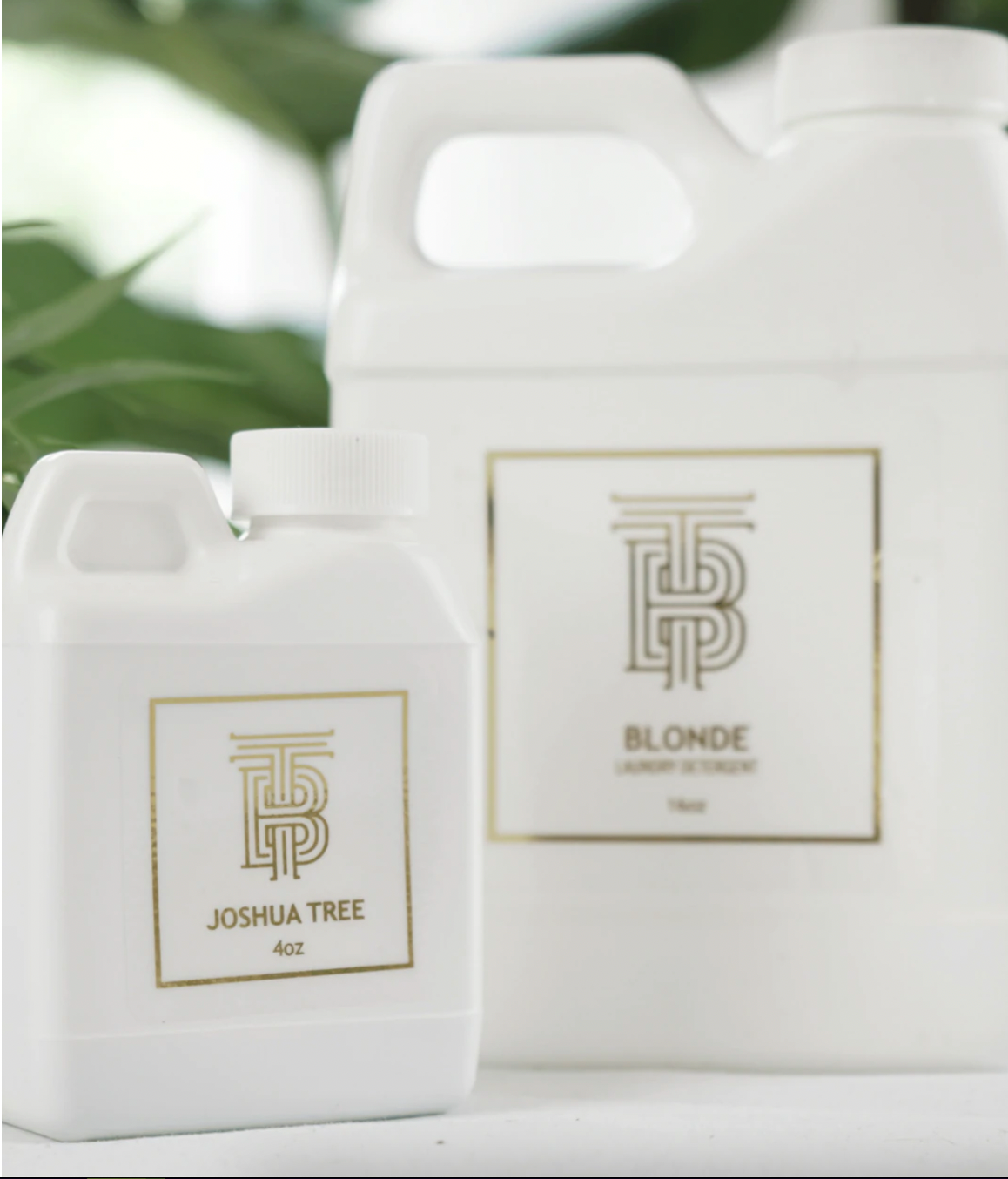 Dirty Blonde Laundry Detergent 16oz. ( Joshua Tree )