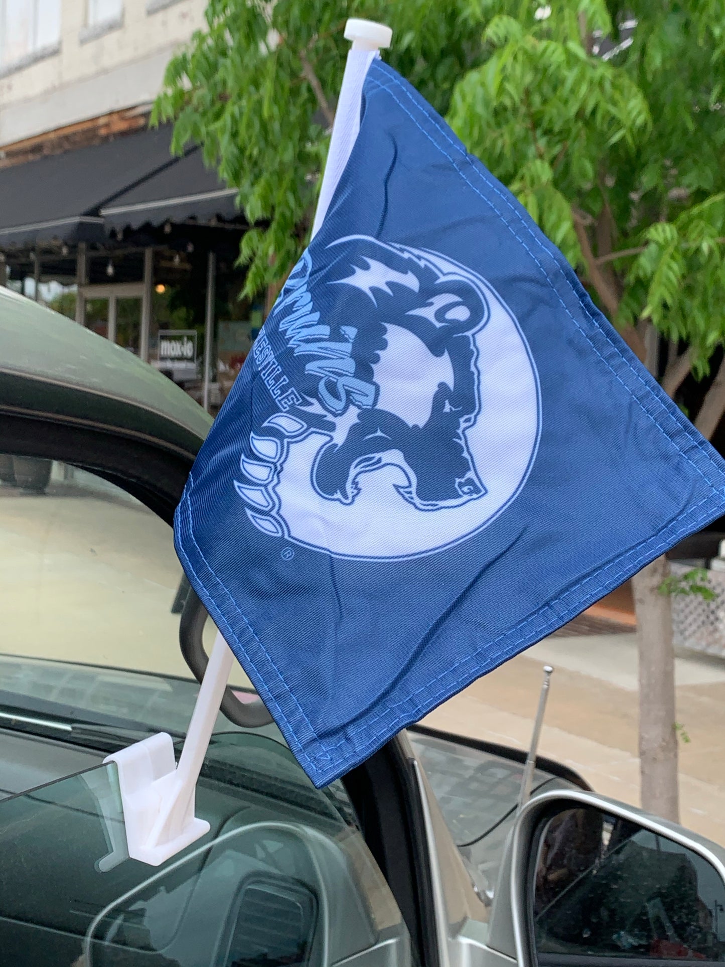 Bruin Car Flag