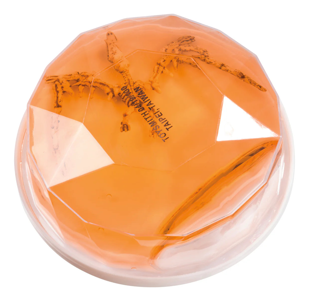 Dinosaur Putty Fossil Discovery