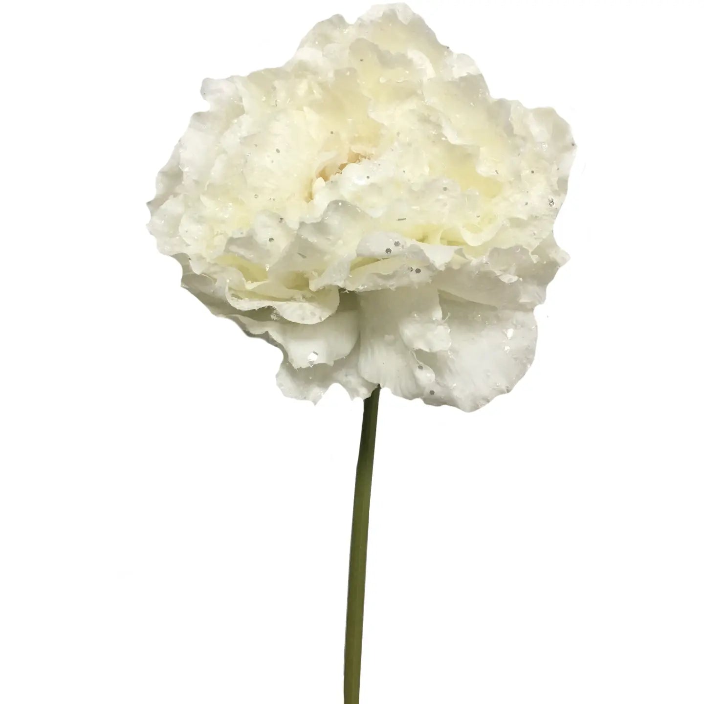 Large Bloom-Snowy Peony Stem