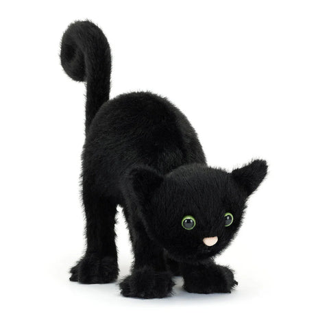 JC Spookipaws Cat