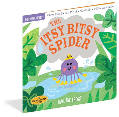 The Itsy Bitsy Spider