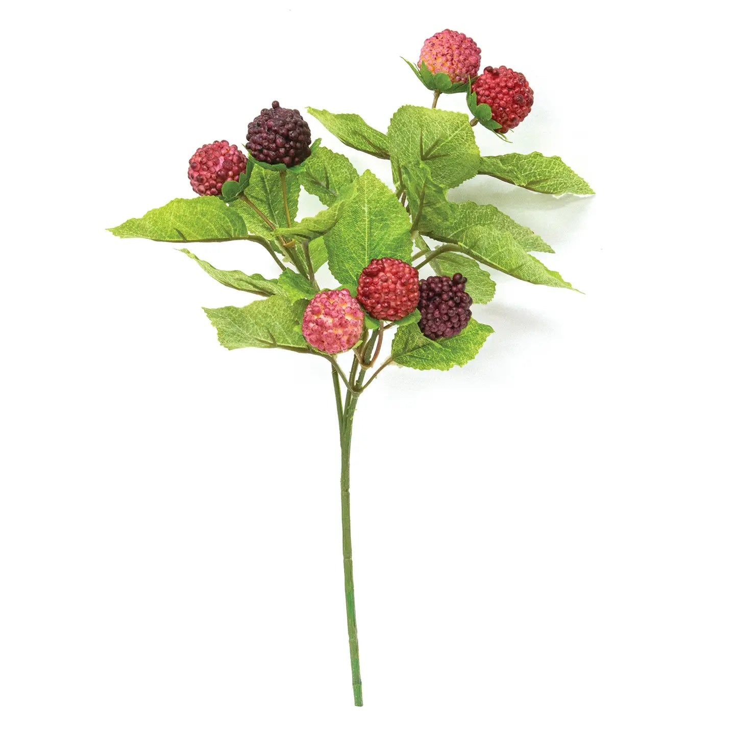 Fresh Raspberries Pick - 10.5"