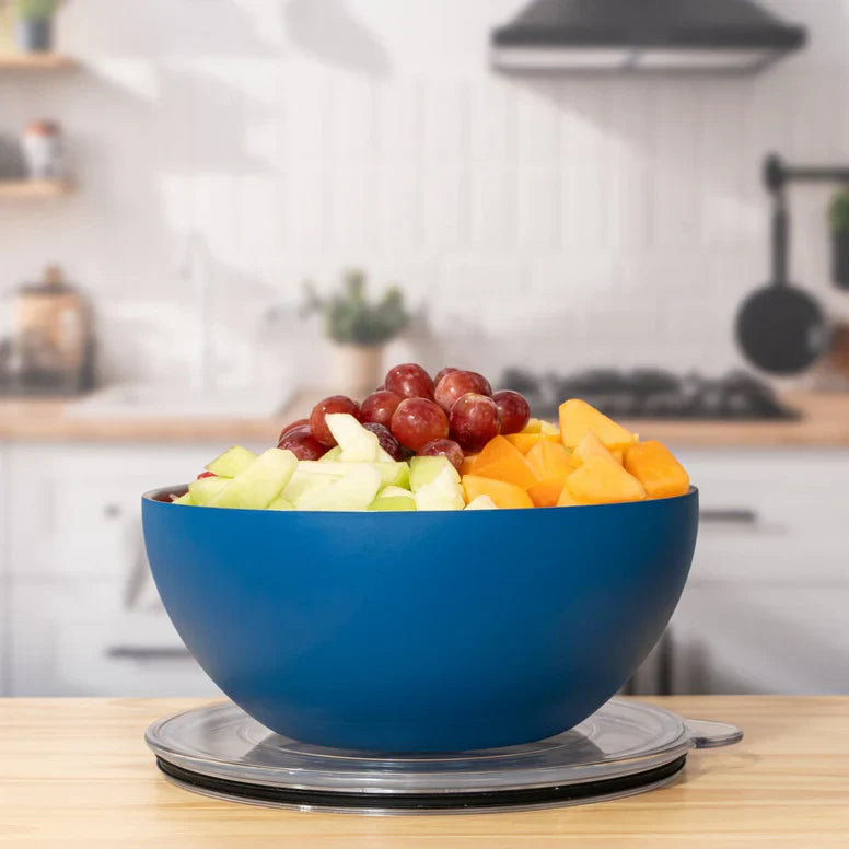Vacuum Insulated Large Bowl  Picnic Party Ready