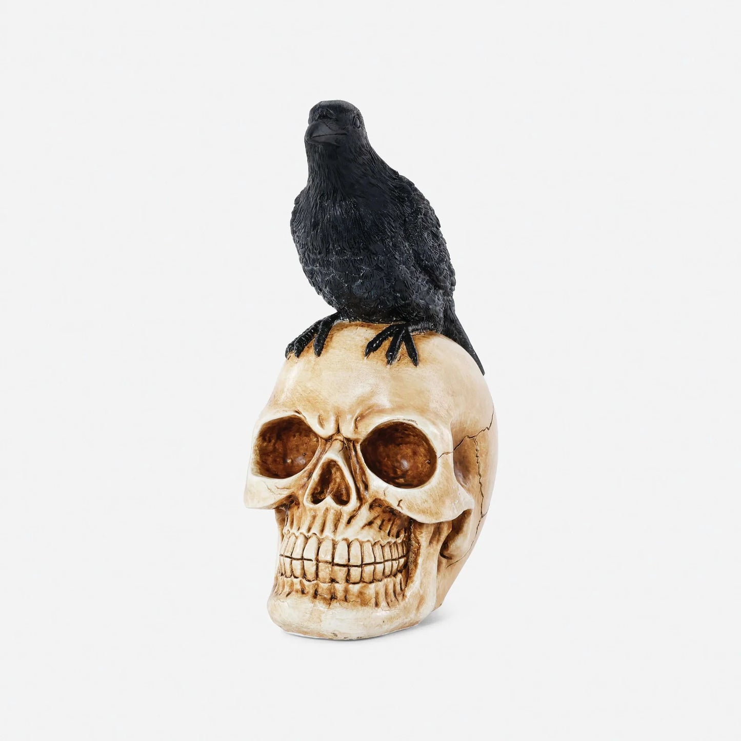 H-26 Resin Crow on Skull
