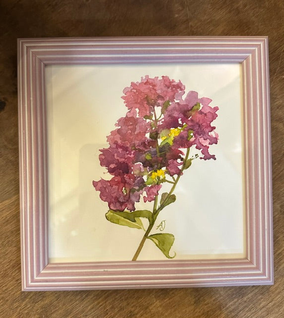 Pink Crepe Myrtle 6"x6"