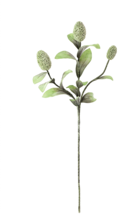 Botanica 2065