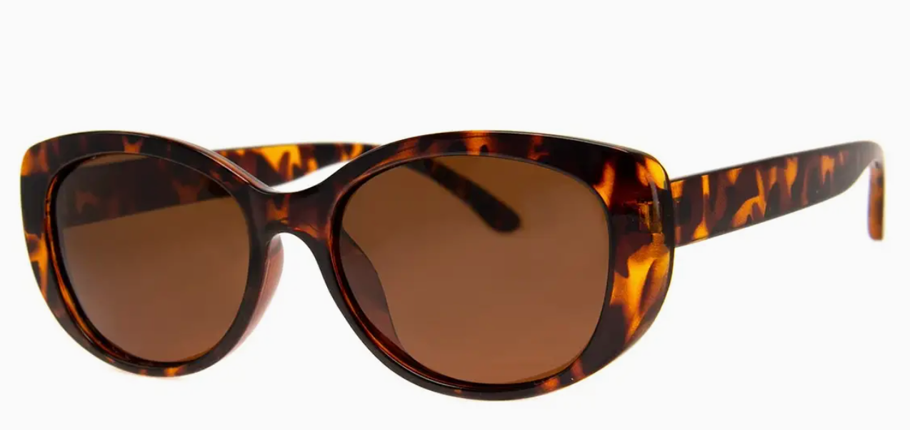 Sunglass Reader /Sunglass Reader Bifocal ( Assorted )