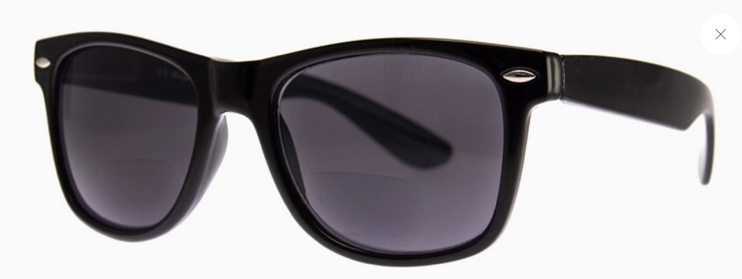Sunglass Reader /Sunglass Reader Bifocal ( Assorted )