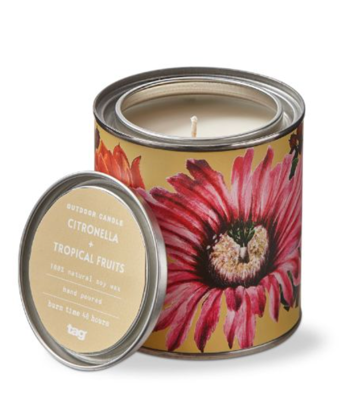 Citro + Tropical Fruit Tin
