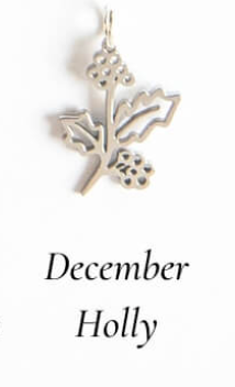Silver Birth Flower Charm Necklace*( December )