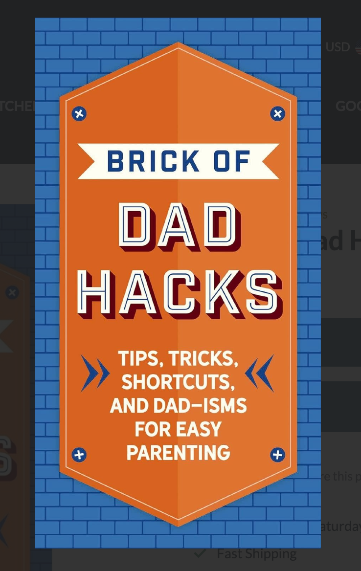 Brick of Dad Hacks Book