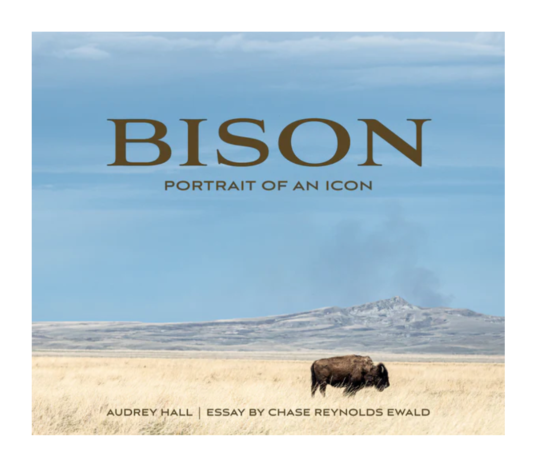 Bison Portrait of an Icon  Coffee Table Book