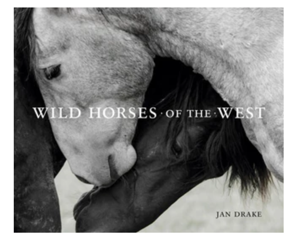 Wild Horses of the West Coffee Table Book