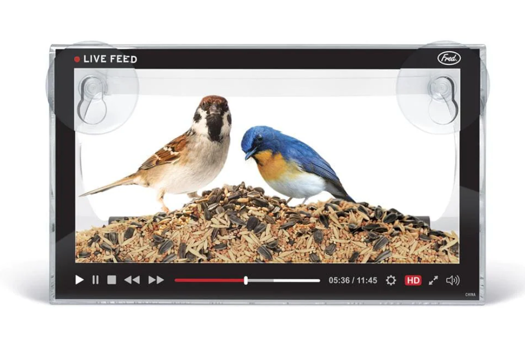 Live Feed Bird Feeder