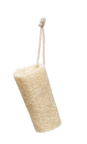 Dish Brush with Rope Hanger, Loofah Bristle