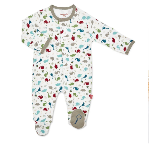Dino Expedition Magnetic Footie