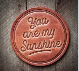 Sugarhouse Leather Coaster ( Assorted )
