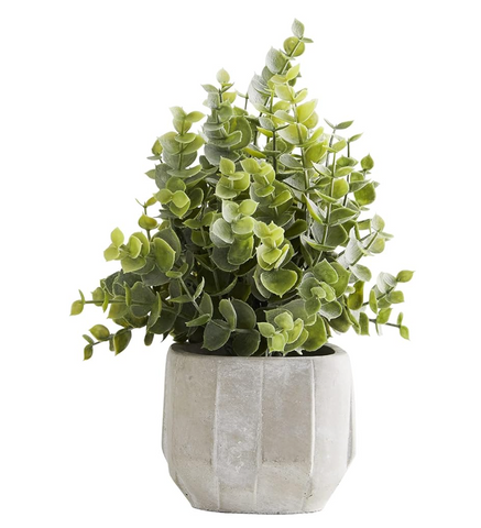 Artificial Plant in Pot, 8" Tall, Eucalyptus/Cement