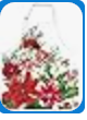 Christmas Bouquet Apron