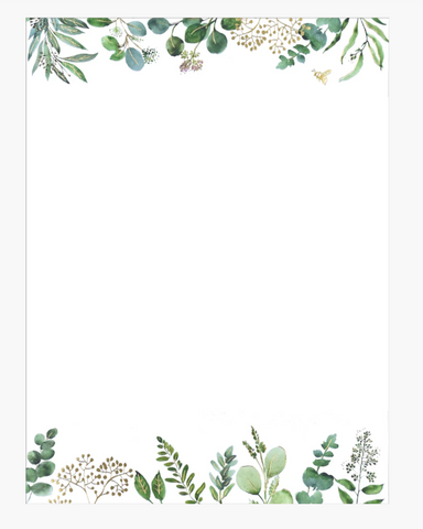 Eucalyptus Boxed Stationery