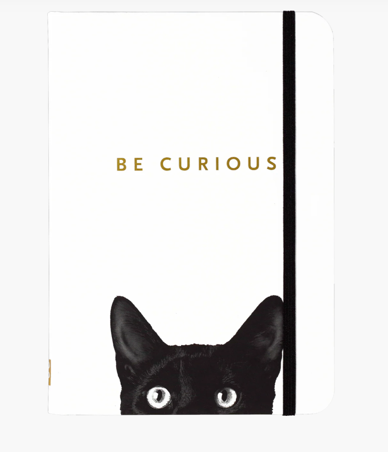Curious Cat Journal