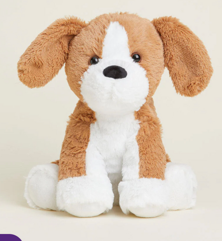 Beagle Warmies