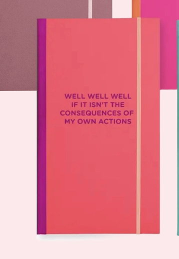 New! Skinny Notebooks
