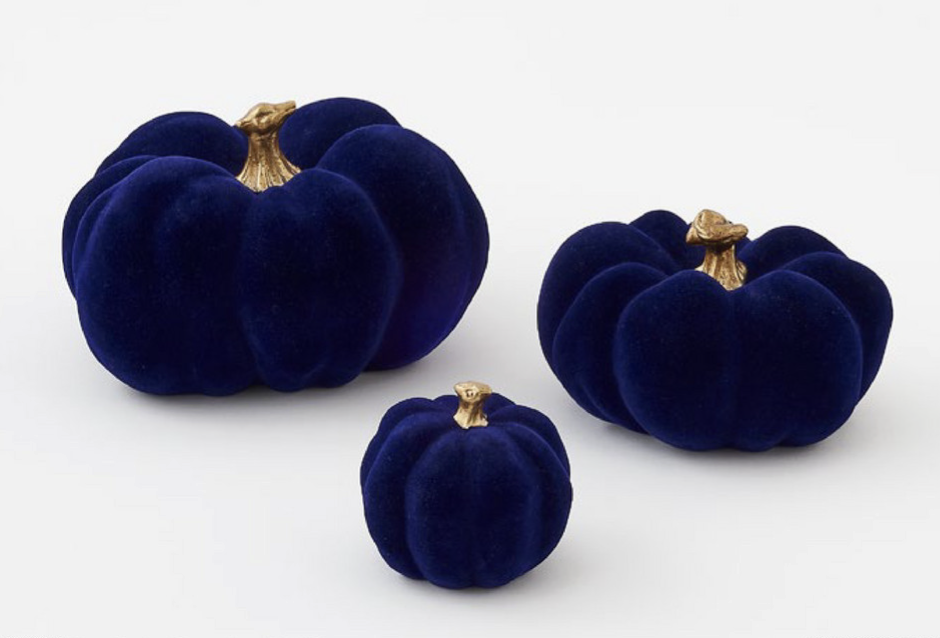 F-26 Blue Flocked Pumpkin