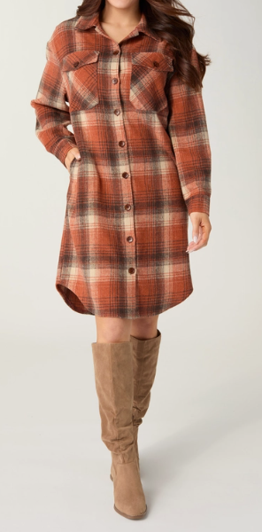 Briella Plaid Button Front Dress Rust/Brown