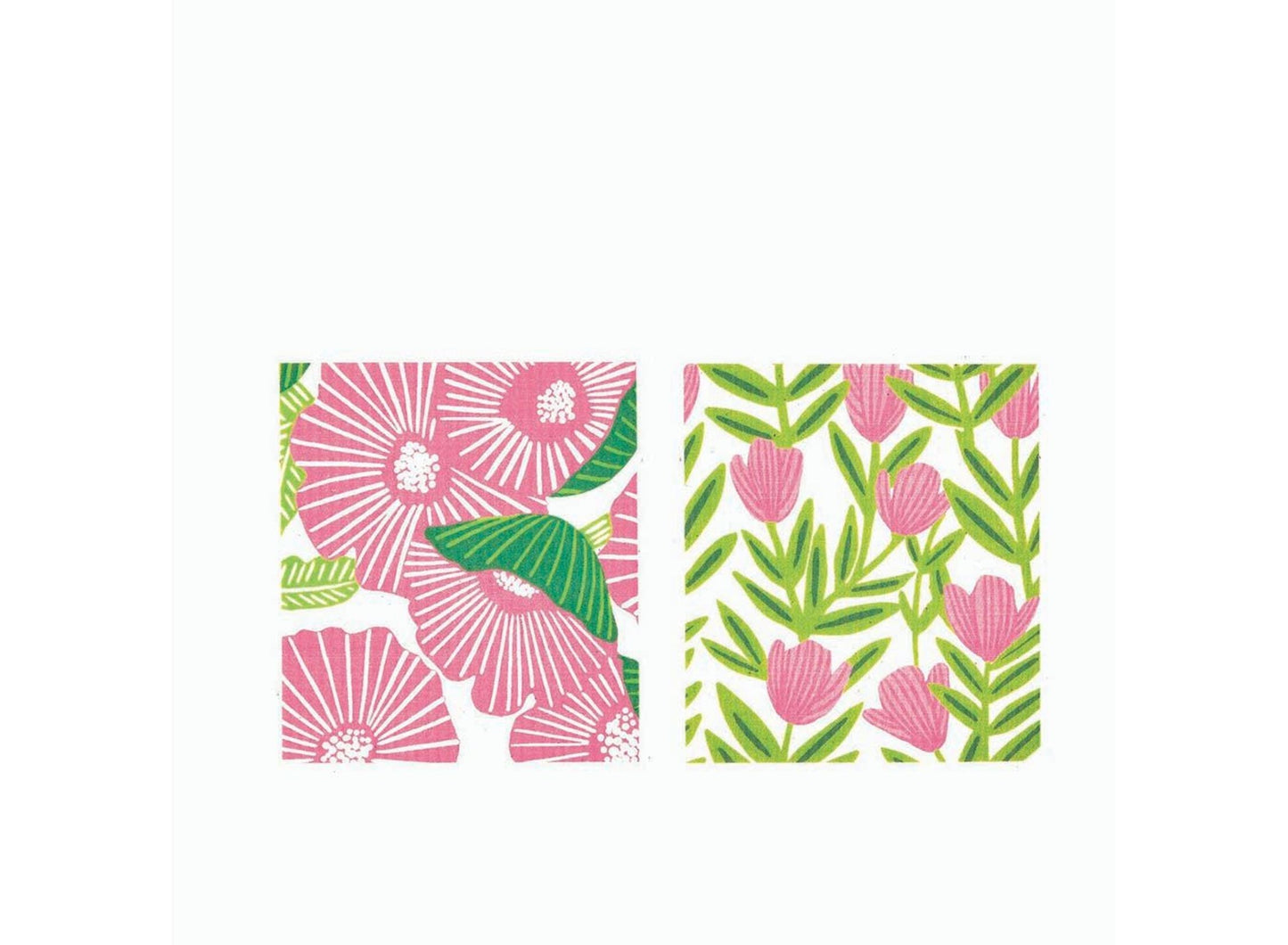 Eco Sponge Cloths (Set of 2) ( Assorted )