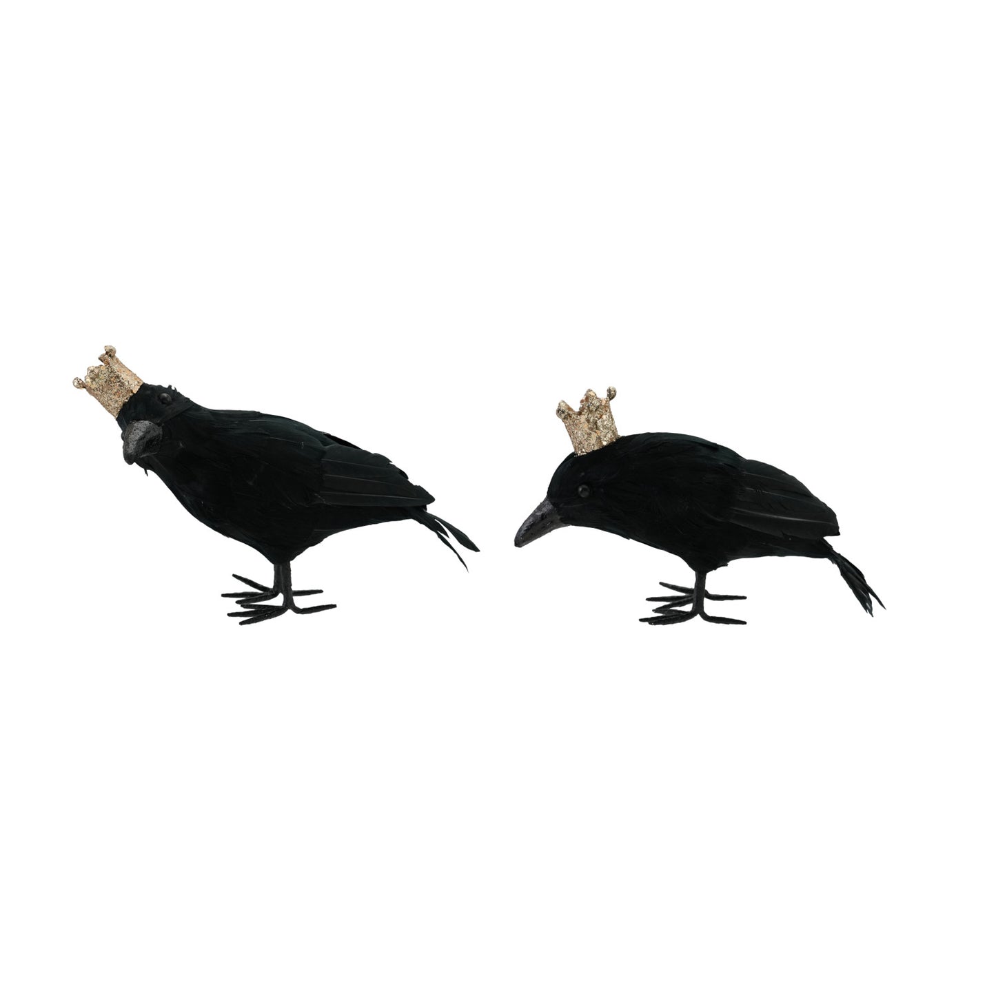 H 26 Foam Crow with Feathers & Crown