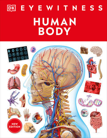 EW Human Body
