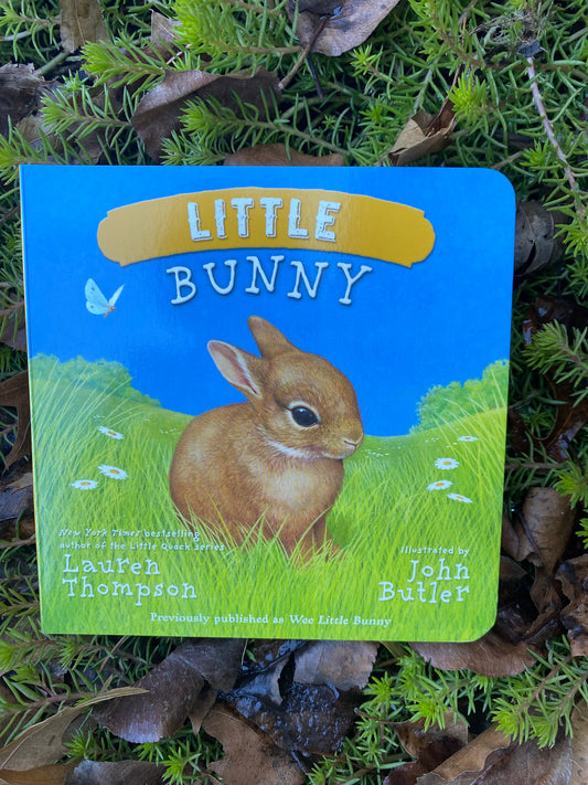 Little Bunny by Butler